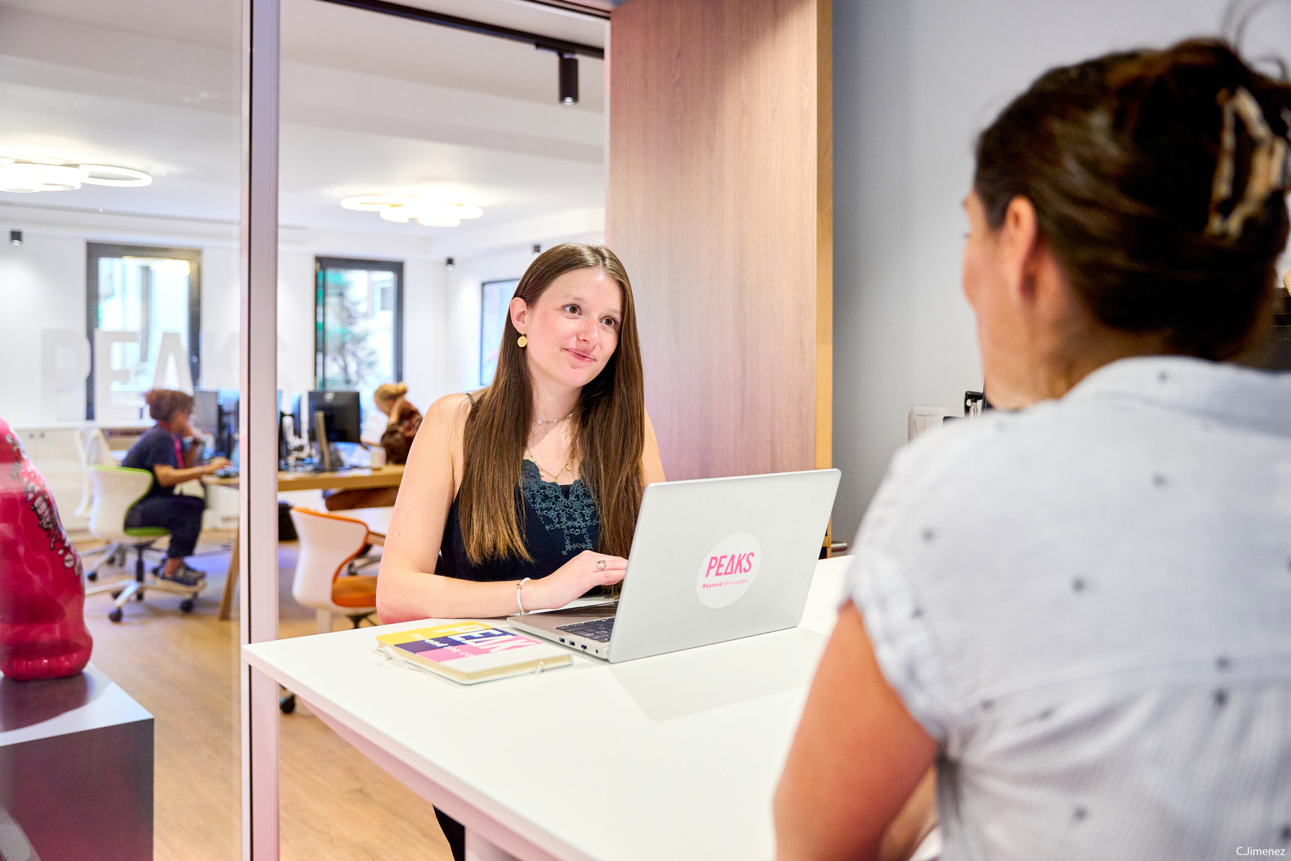Entretien chez Peaks Lyon